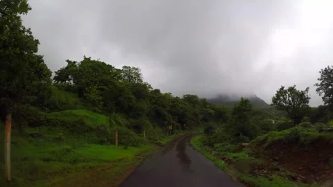 Driving through dense forest in rainy season in india Stock Footage 310778343