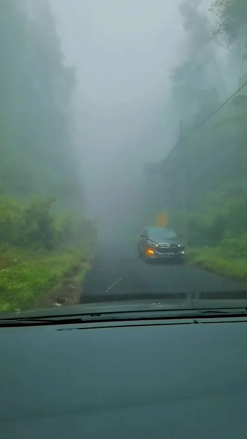 Driving Through Dense Mountain Fog on Scenic Forest Road POV Stock Footage 337690287
