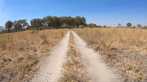 Driving through dry grass landscape of Moremi Game Reserve Botswana 스톡 동영상 107286366