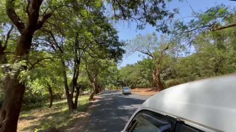 Driving through exotic tree tunnel on road in Moshi, Tanzania. Lush tropical gre Stock Footage 330507628