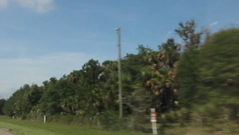 Driving through Florida In The Summer #15 Stock Footage 7730632