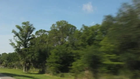 Driving through Florida In The Summer #16 動画素材 7731274