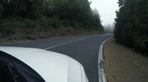 Driving through fog Stock Footage 54789764