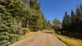Driving through Foliage Forest 01 Grand Canyon North Rim Aspen Forest HD Footage
