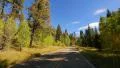 Driving through Foliage Forest 02 Grand Canyon North Rim Aspen Forest HD Footage