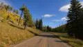 Driving through Foliage Forest 04 Grand Canyon North Rim Aspen Forest HD Footage
