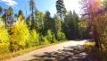 Driving through Foliage Forest 07 Grand Canyon North Rim Aspen Forest HD Footage