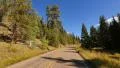 Driving through Foliage Timelapse 01 Grand Canyon North Rim Aspen Forest HD Footage