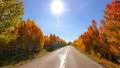 Driving through Foliage Timelapse 02 Grand Canyon North Rim Aspen Forest HD Footage