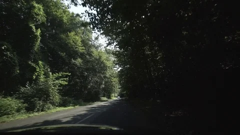 Driving through a forest by car with gimbal looking up to the trees Stock Footage 71314080