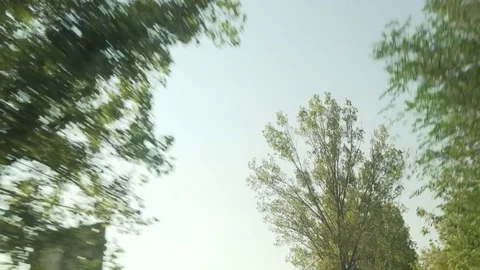 Driving through a forest by car with gimbal looking up to the trees Stock Footage 71324647