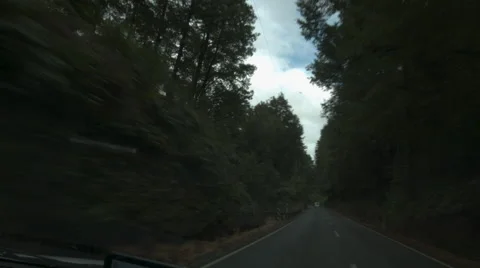 Driving Through Forest, Dashcam Stock Footage 64232827