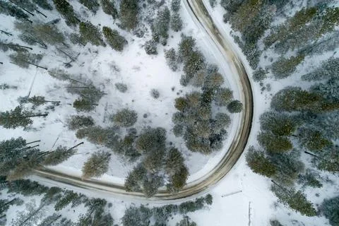 Driving through the forest during winter Stock-Fotos