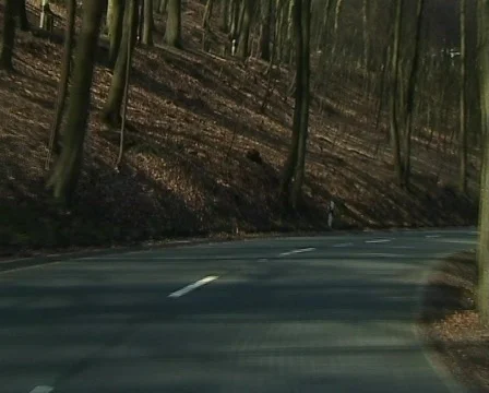 Driving through a forest Vidéo 70575