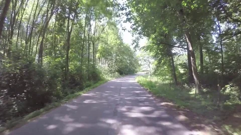 Driving through the forest Stock Footage 83499856