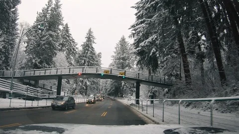 Driving Through A Forest Highway On A Snow Day  스톡 동영상 123046186