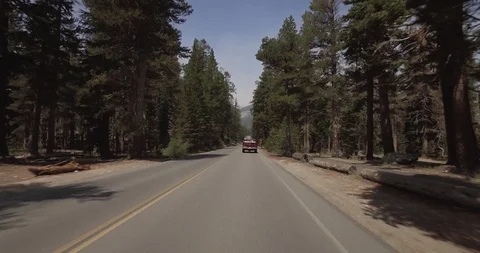 Driving through forest in Mammoth Lakes, California Stock Footage 93624682