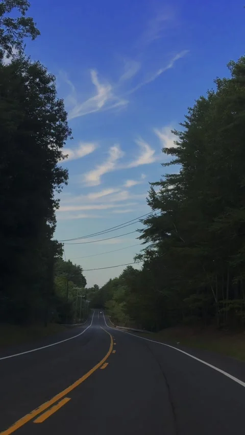 Driving Through Forest. Nature Drive Along Forested Roads. Filmed in 4K UHD... Stock Footage 316865665