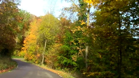 Driving through a forest road in autumn Stock Footage 145421507
