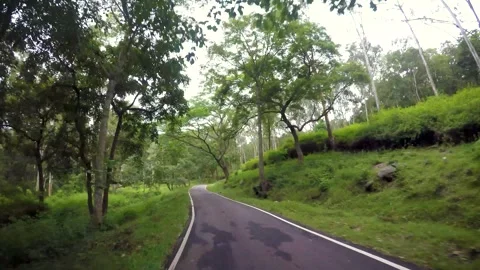 Driving Through Forest Roads in BR Hills as captured by GoPro mounted on the car Stock Footage 311085643