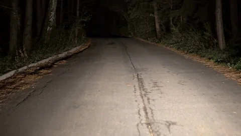Driving through the forest on rural road at night, POV Stock Footage 82882959