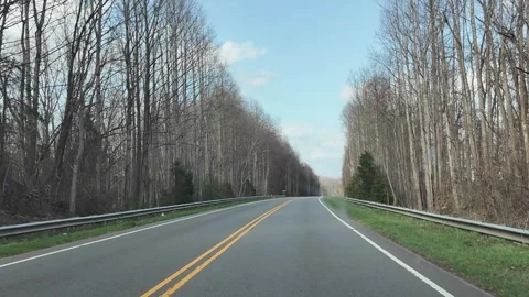 Driving Through a Forested Area in North Carolina During Spring Stock Footage 332304582