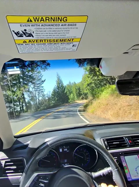 Driving through a Forested Road Stock Footage 293741063