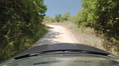Driving through the foret 4K video Stock Footage 161647755