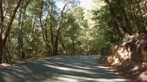 Driving Through The Forrest Видео 44793291