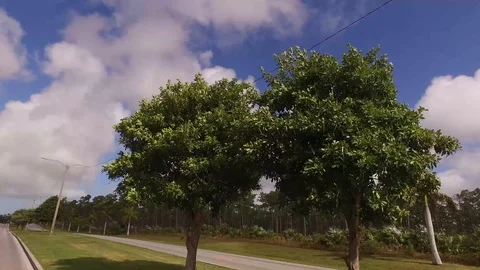 Driving Through Freeport Roads and Highway, Grand Bahama Bahamas Stock Footage 99206923