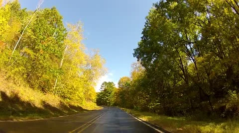 Driving through gold and green trees on a curvy country road in early fall Stock Footage 22322511