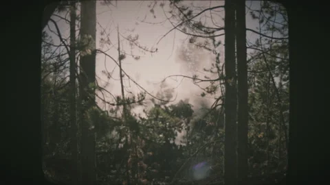 Driving through the green forest and geysers of Wyoming,USA. View from a car' Stock Footage 136731359