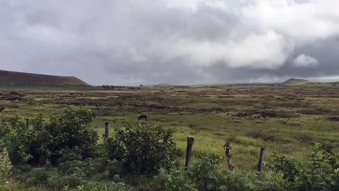 Driving through Green Meadows on Rapa Nui, Easter Island, Chile 1080p 스톡 동영상 160007088