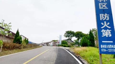 Driving Through Green Tree Canopy Rural Road 스톡 동영상 345974989