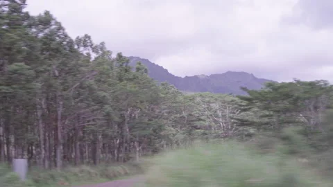 Driving through Hawaii, view of Mountains and Trees on an Overcast Day Stock Footage 185103353