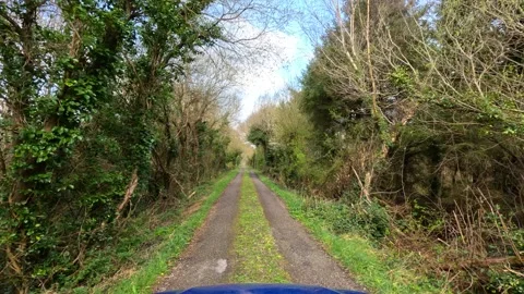 Driving through the Irish Countryside on canopy covered road Stock Footage 332940215
