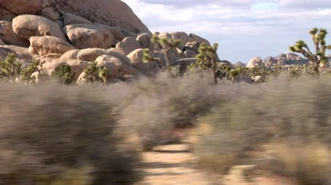 Driving Through Joshua Tree  Stock Footage 49044936