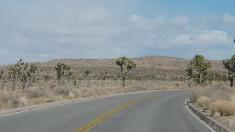 Driving through Joshua Trees in Mojave Desert Stockbeeldmateriaal 153948029