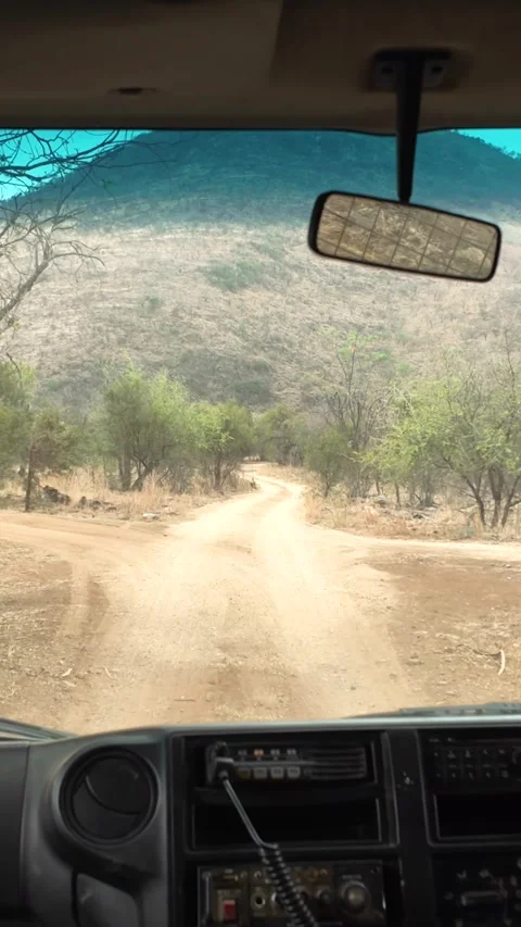 Driving through the jungle Stock Footage 290231294