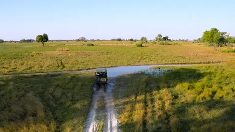 Driving Through Landscape Okavango Delta Botswana Stock Footage 135244710