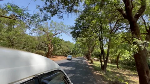 Driving Through Lush Tree Tunnel Road in Moshi Tanzania Stockbeeldmateriaal 337800094