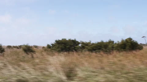 Driving through marsh land Stock Footage 276510422