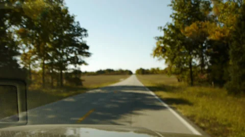 Driving through meadow and trees morning light Stock Footage 31214540