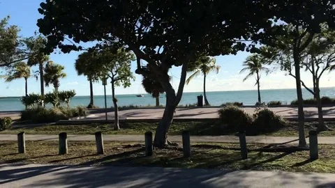 Driving Through Miami Keys Video stock 73156326