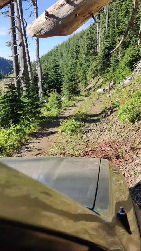 Driving through the mountains in Washington Stock Footage 322951245