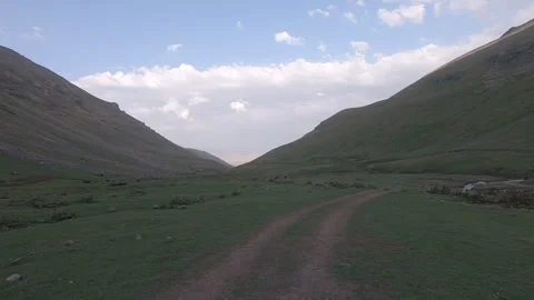 Driving through nature 2 Stock Footage 316769640