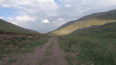 Driving through nature 26 Video stock 316770536