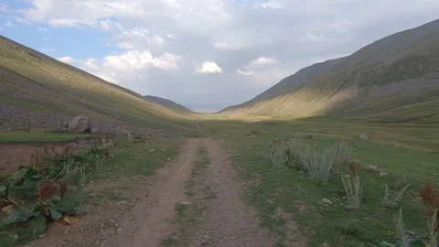 Driving through nature 29 Video stock 316770575