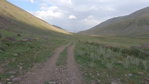 Driving through nature 31 Stock Footage 316770622