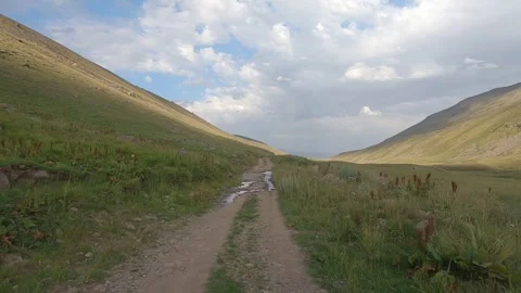 Driving through nature 35 Stock Footage 316770738